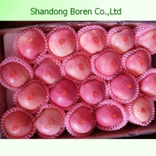 2015 Fresh Juicy FUJI Apple De Shandong Boren